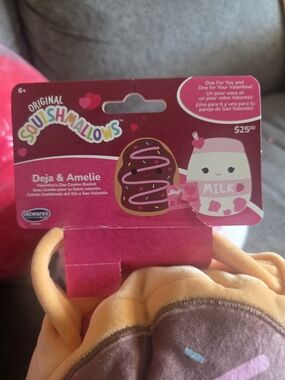Squishmallows Deja & Amelie Valentine's Day Combo Bucket set.